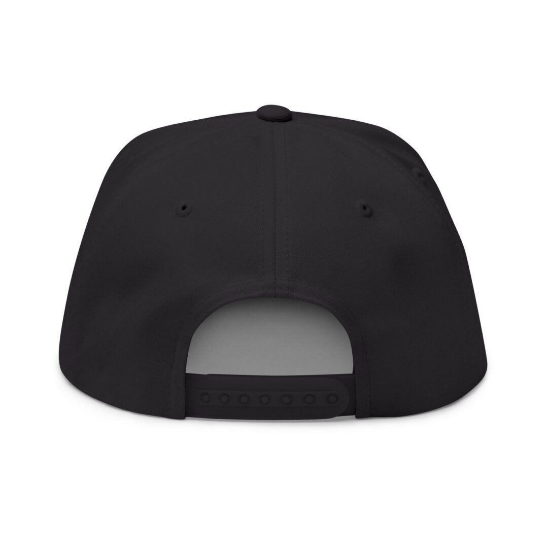 U.S. Amps Logo Embroidered Flat Bill Cap - Image 10