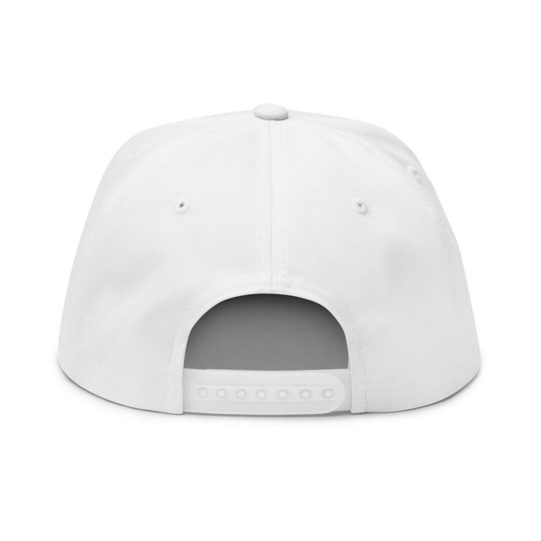 U.S. Amps Logo Embroidered Flat Bill Cap - Image 2